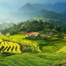 nbengal